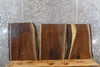 Thumbnail for 3- Live Edge Black Walnut End Table Top Slabs CLOSEOUT 8200-8202