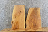 Thumbnail for 2- Live Edge Ash End Table Top/Taxidermy Mount Slabs 8210-8211