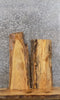 Thumbnail for 2- Live Edge Ash Taxidermy Mount/Wall Shelf Slabs 8214-8215