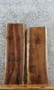 Thumbnail for 2- Live Edge Black Walnut Craft Pack/Taxidermy Mounts 8241-8242