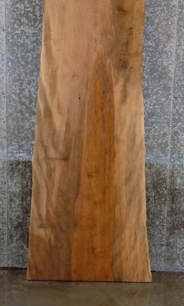 Salvaged Live Edge Sycamore Reception Table Top Wood Slab 826