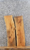 Thumbnail for 2- Live Edge Red Oak Wall Shelf/End/Accent Table Top Slabs 8276-8277