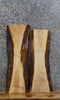 Thumbnail for 2- Live Edge Maple Taxidermy Mount/End/Accent Table Top Slabs 8280-8281