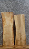 Thumbnail for 2- Live Edge Maple Taxidermy Mount/End/Accent Table Top Slabs 8280-8281