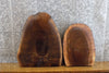 Thumbnail for 2- Black Walnut Reclaimed Live Edge Craft Pack/Taxidermy Bases 833-834