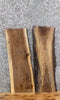 Thumbnail for 2- Live Edge Black Walnut Charcuterie/Cheese/Cutting Board Slabs 8341-8342