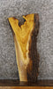 Thumbnail for Yellow Mulberry Livre Edge Charcuterie Board/Taxidermy Slab 8349