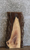 Thumbnail for Black Walnut Live Edge Charcuterie Board/Taxidermy Slab 8351