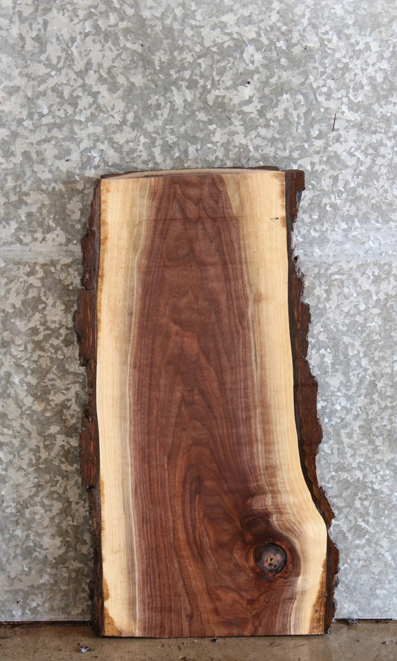 Black Walnut Live Edge Charcuterie Board/Taxidermy Slab 8351