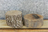 Thumbnail for 2- Natural Edge Black Walnut Salvaged Small Logs/Craft Pack Slabs 8660