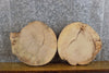 Thumbnail for 2- Round Cut Rustic Live Edge Ash Craft Pack/Taxidermy Base Slabs 8720