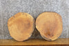 Thumbnail for 2- Round Cut Salvaged Live Edge Ash Centerpieces/Craft Pack Slabs 8721