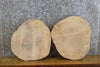 Thumbnail for 2- Round Cut Salvaged Live Edge Ash Centerpieces/Craft Pack Slabs 8721