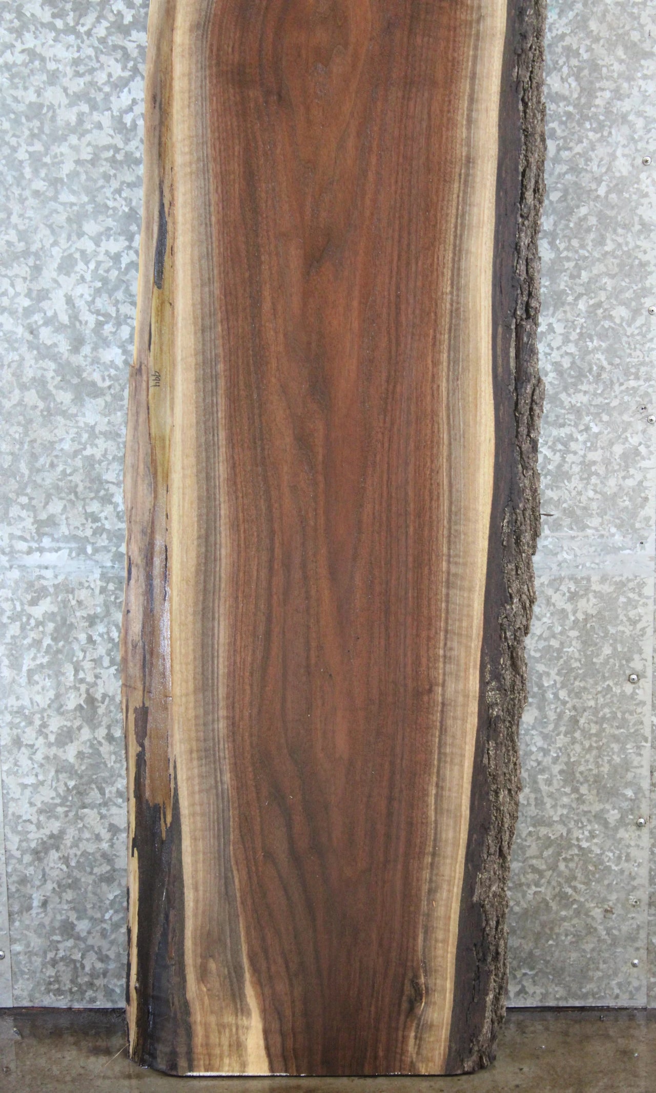 Live Edge Black Walnut Bar Top Slab 994