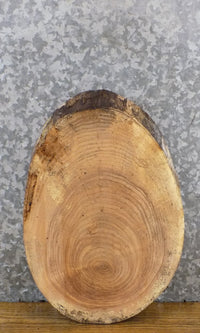 Thumbnail for Natural Edge Oval Cut Ash Salvaged DIY Charcuterie Board/Slab 12318
