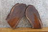 Thumbnail for 2- Rustic Oval Cut Live Edge Black Walnut Taxidermy Base Slabs 12370-12371