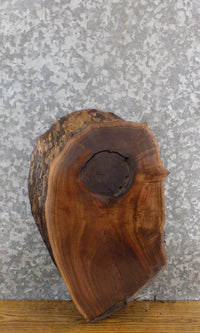 Thumbnail for Oval Cut Black Walnut Rustic Live Edge Centerpiece Wood Slab 12389