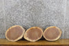 Thumbnail for 3- Live Edge Round Cut Black Walnut Taxidermy Bases/Craft Pack 12623-12625