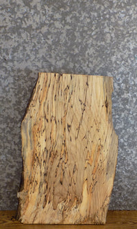 Thumbnail for Spalted Maple Live Edge Rustic Side/End/Entry Table Top Slab 13341