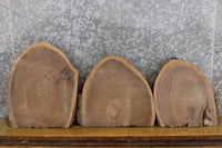 Thumbnail for 3- Rustic Round Cut Partial Live Edge Black Walnut Craft Pack 13605-13607