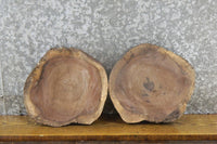 Thumbnail for 2- Natural Edge Round Cut Black Walnut Centerpieces/Craft Pack 13871-13872