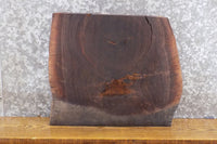 Thumbnail for Salvaged Live Edge Black Walnut Bread/Cutting Board Slab 14427