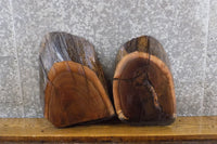 Thumbnail for 2- Rustic Black Walnut Partial Live Edge Oval Cut Craft Pack 14452-14453
