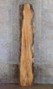 Thumbnail for Live Edge Rustic Spalted Maple Bar/Table Top Slab CLOSEOUT 20408