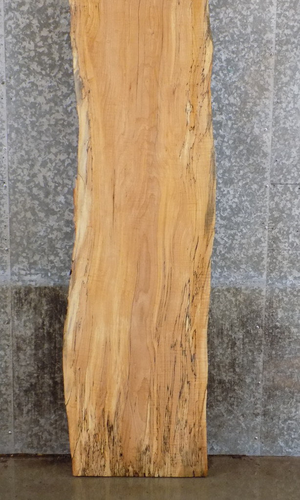 Live Edge Rustic Spalted Maple Bar/Table Top Slab CLOSEOUT 20408