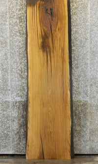 Thumbnail for Live Edge White Oak Bar/Counter Top Wood Slab CLOSEOUT 20503