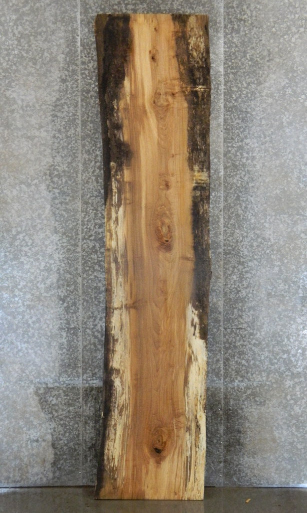 Live Edge Spalted Maple Rustic Table Top Wood Slab CLOSEOUT 20526
