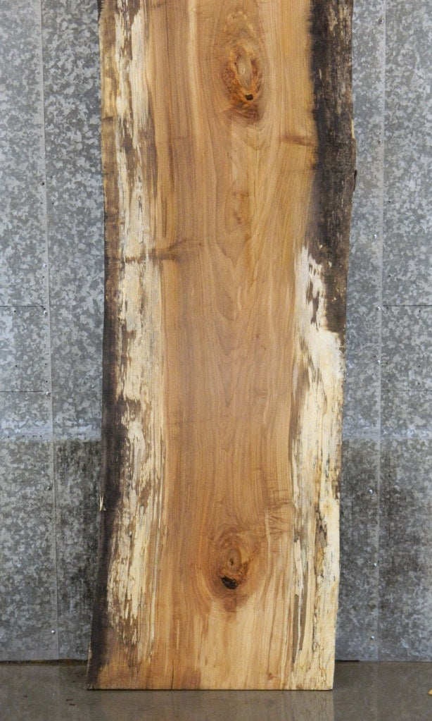 Live Edge Spalted Maple Rustic Table Top Wood Slab CLOSEOUT 20526