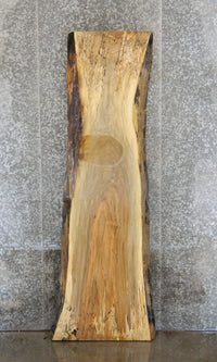 Thumbnail for Rustic Spalted Maple Bar/Table Top Wood Slab CLOSEOUT 39333