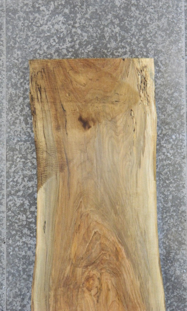 Rustic Spalted Maple Bar/Table Top Wood Slab CLOSEOUT 39333