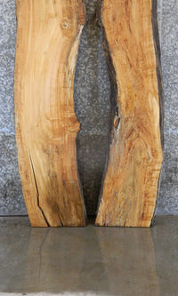 Thumbnail for 2- Live Edge Maple Bar/Table Top Wood Slabs CLOSEOUT 39348-39349