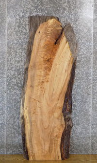 Thumbnail for Spalted Maple Reclaimed Coffee Table Top Slab CLOSEOUT 40090
