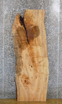 Thumbnail for Spalted Maple Reclaimed Coffee Table Top Slab CLOSEOUT 40090