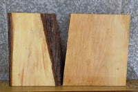 Thumbnail for 2- Maple Live Edge Bookmatched Side/End Table Top Slabs 40355-40356