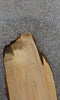 Thumbnail for Live Edge Bark Maple Sofa Table/Bar Top Wood Slab CLOSEOUT 407