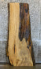 Thumbnail for Live Edge Spalted Maple Desk Top Wood Slab CLOSEOUT 42021