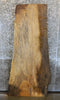 Thumbnail for Live Edge Spalted Maple Desk Top Wood Slab CLOSEOUT 42021