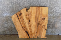 Thumbnail for Salvaged Ash Desk/Coffee Table Top Slab CLOSEOUT 42293