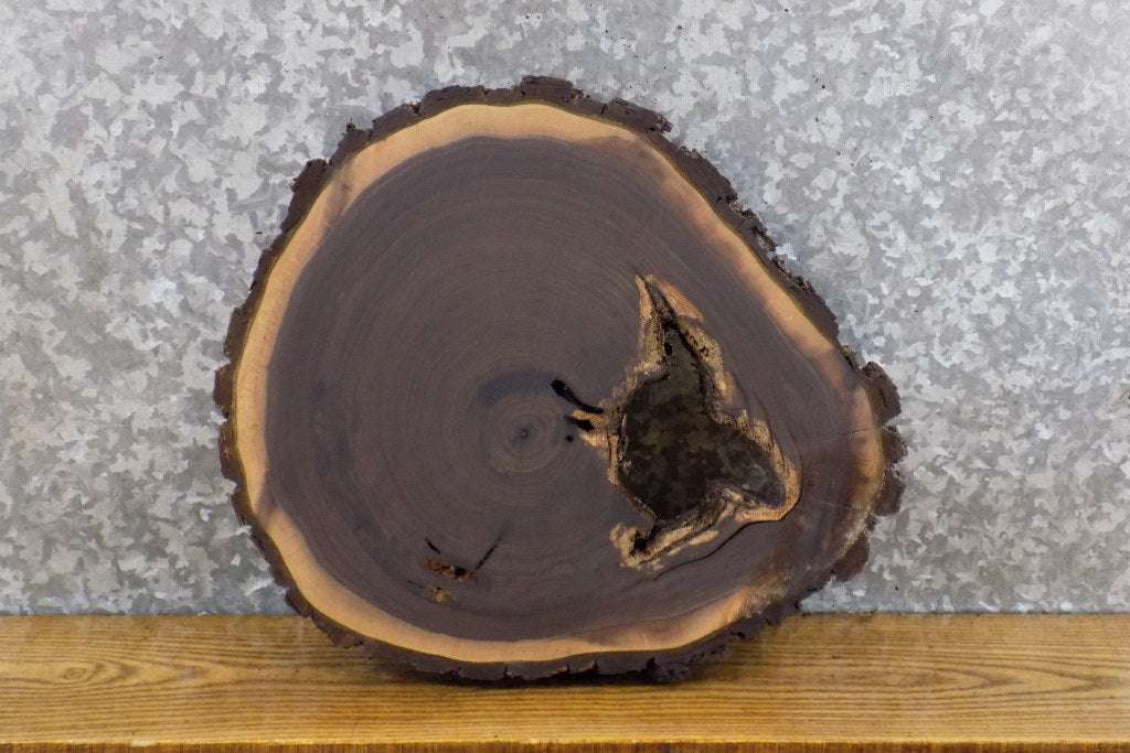 Round Cut Live Edge Bark Black Walnut Epoxy Project Wood Slab 6583