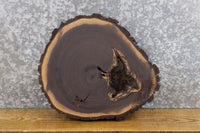 Thumbnail for Round Cut Live Edge Bark Black Walnut Epoxy Project Wood Slab 6583