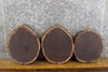 Thumbnail for 3- Black Walnut Round Cut Live Edge Rustic Centerpiece Slabs 777