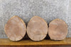 Thumbnail for 3- Black Walnut Round Cut Live Edge Rustic Centerpiece Slabs 777