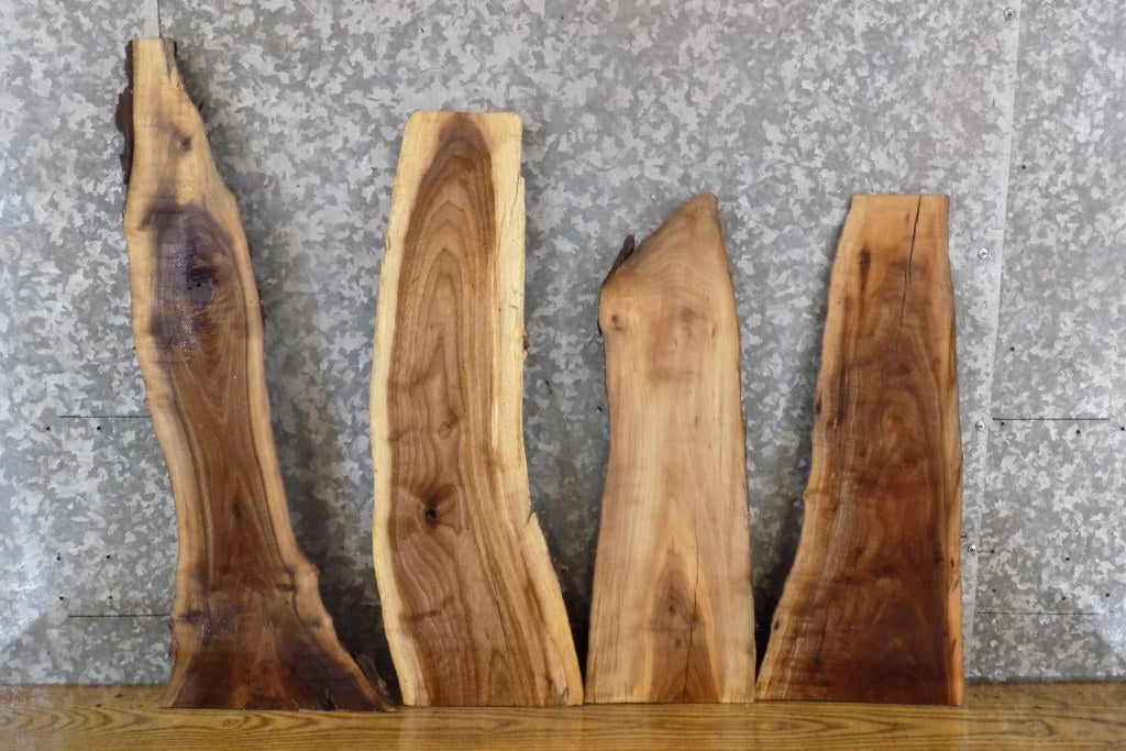 4- Black Walnut Rustic Live Edge Craft Pack/Taxidermy Bases 8303-8306