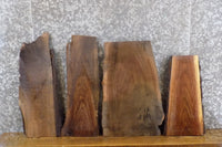 Thumbnail for 4- Black Walnut Live Edge Craft Pack/DIY Charcuterie Boards 8460-8463