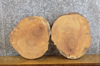 Thumbnail for 2- Natural Edge Round Cut Rustic Ash Craft Pack Wood Slabs 8723