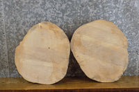 Thumbnail for 2- Natural Edge Round Cut Rustic Ash Craft Pack Wood Slabs 8723